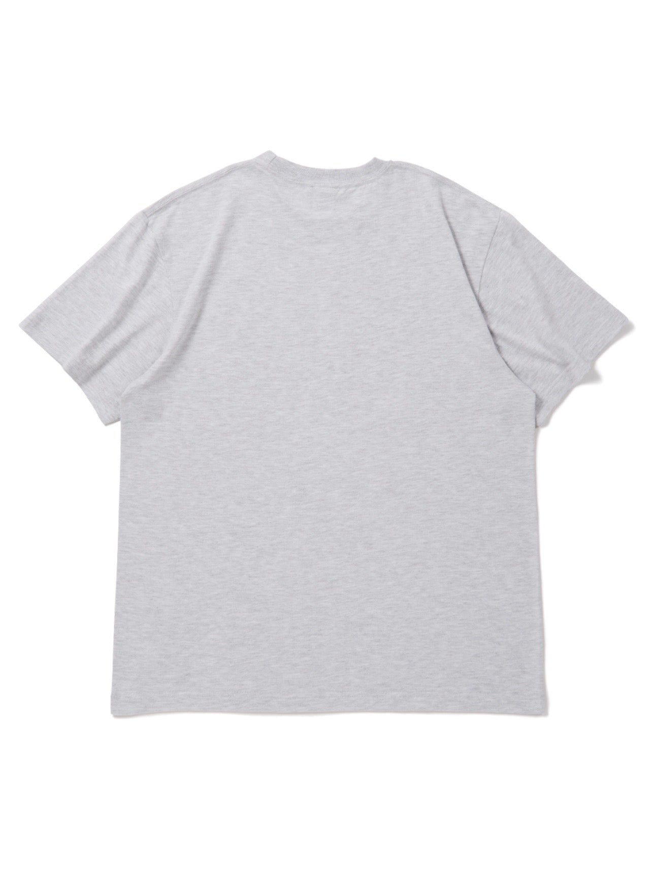 BEYOND T-shirts (Ash)